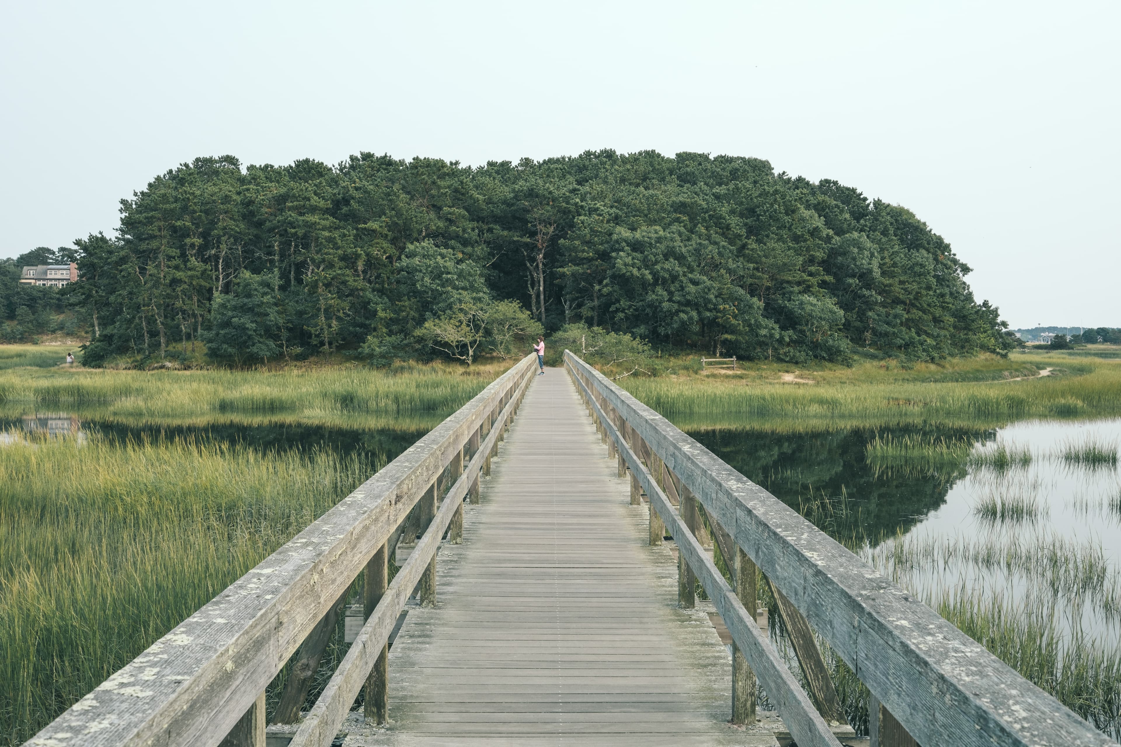 A bridge extending into an estuary